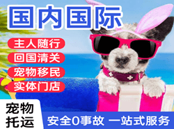 北戴河机场物流国际宠物托运 【国